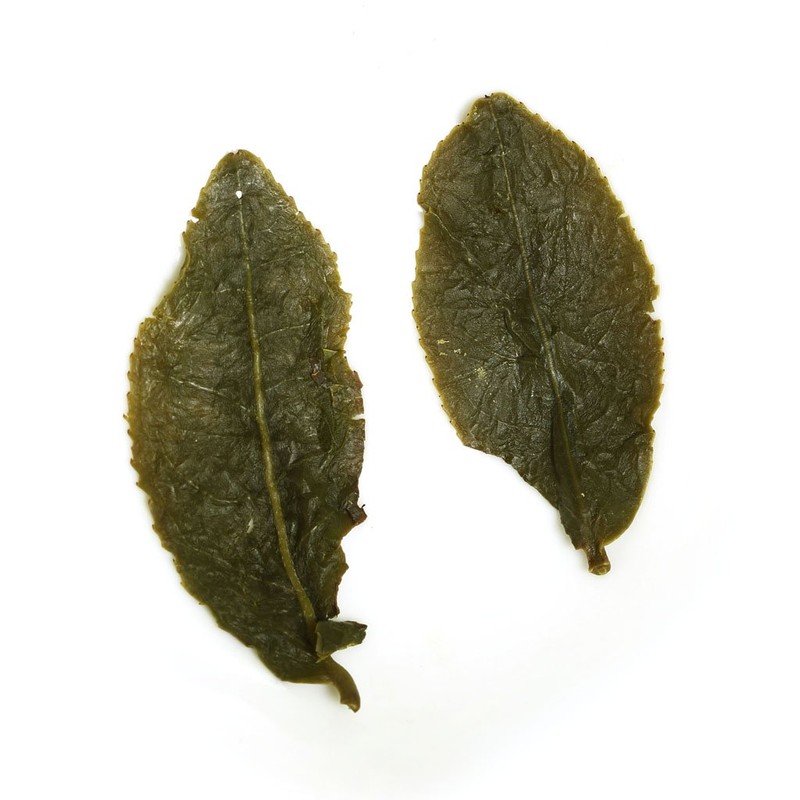 GOARTEA Taiwan Oolong Tea Loose Leaf Dong Ding Oolong Tea