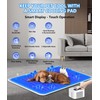 2025 Smart Dog Cooling Mat & Heating Pad 2-in-1 -