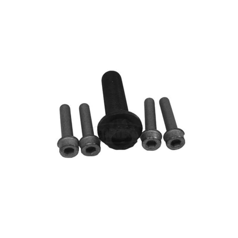 Corteco 80001259 Screw Set, Pulley Crankshaft