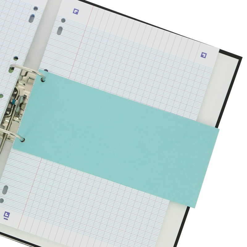 100 x Oxford Punched, Cardboard File Dividers, 190gsm, 4 Colours