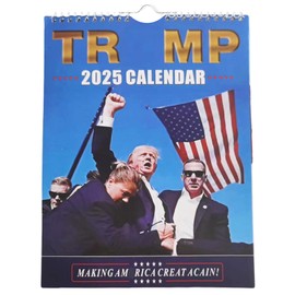2025 Wall Calendar Funny Wall Calendar - Jan 2025 - Dec 2025 Calendar Planner 2025 for Home, Office(Full Colour, 29 * 21.5cm/ 11.4 * 8.5in)