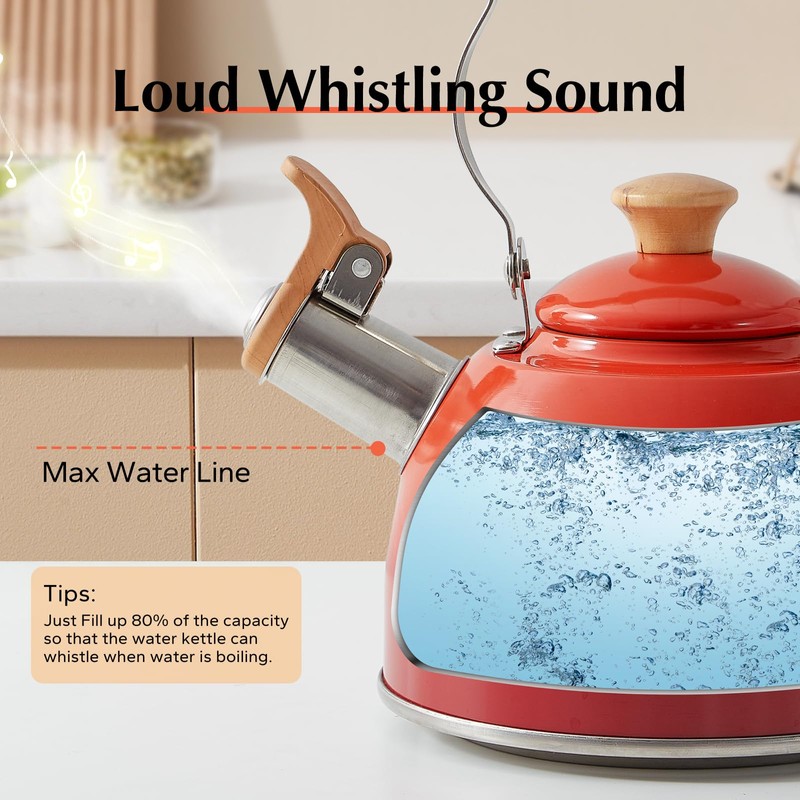 ROCKURWOK Tea Kettle, Tea Pot with Cool Touch Ergonomic Handle,