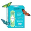Butterfly Hugs - Premium Adhesive Butterfly Bandages from Hug-a-BooBoo, The
