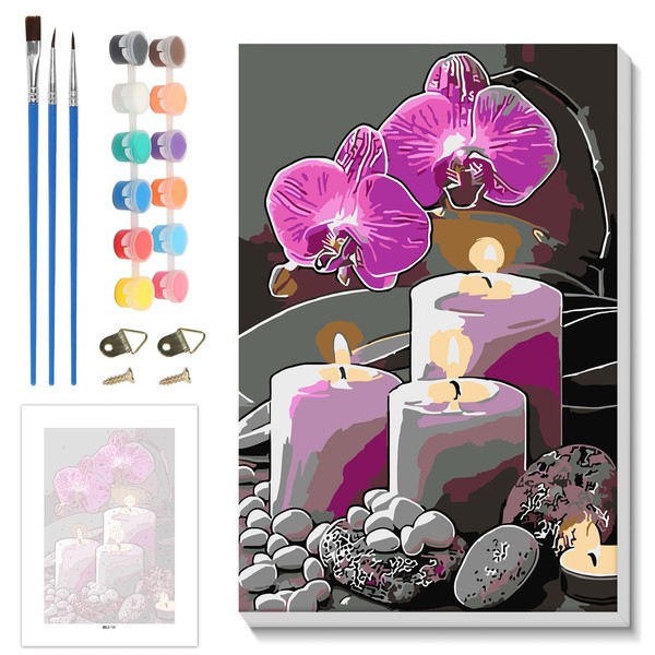 Skyboda Christmas Paint by Numbers Kit for Adults Beginners with