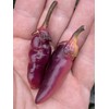 Pink Bubblegum 7 Pot BBG Scorpion Super Hot Pepper Premium