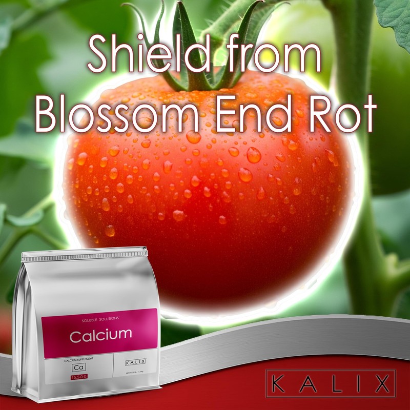 KALIX Calcium | 15.5-0-0 Calcium Nitrate Fertilizer | Highly Soluble