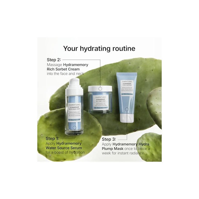 Hydramemory Rich Sorbet Cream