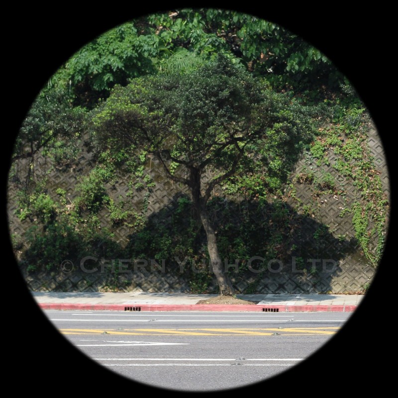 Wide Bubble Shield for Jet Helmets (Smoke)