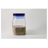 Dark Rye Sourdough Starter Culture Bread Yeast Dehydrated