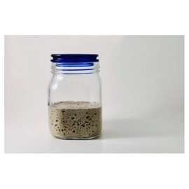 Dark Rye Sourdough Starter Culture Bread Yeast Dehydrated