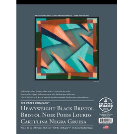 Bee Paper Black Bristol Pad, 9"-12"