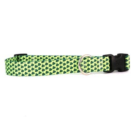 Yellow Dog Design Petite Shamrock Dog Collar, Large-1" wide fits neck sizes 18 to 28"