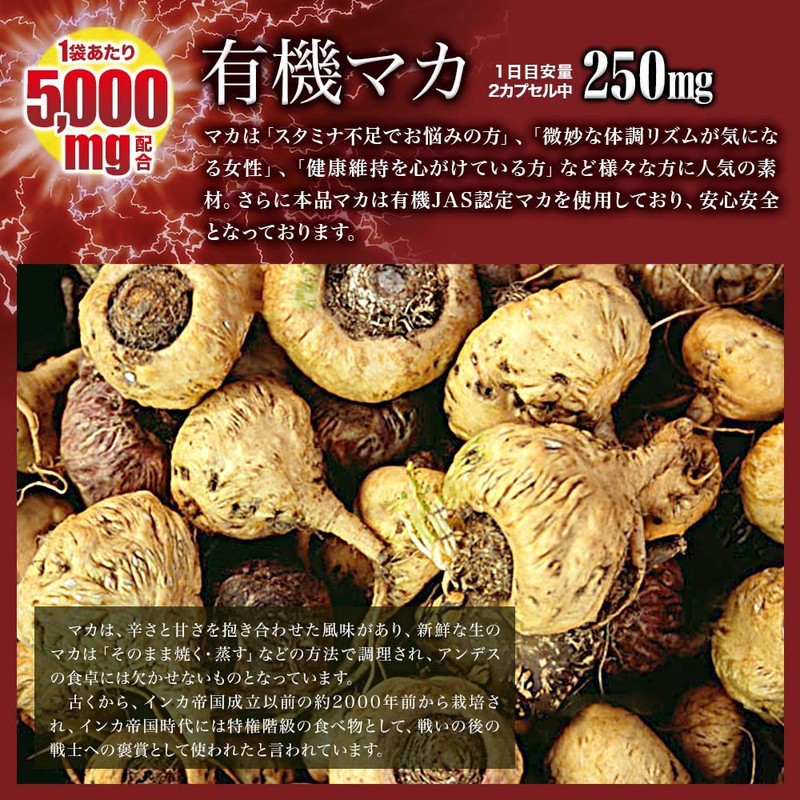 ユウキ製薬 SP 超力精 2個セット 40日分 40カプセル サプリ 有機マカ 亜鉛 シトルリン