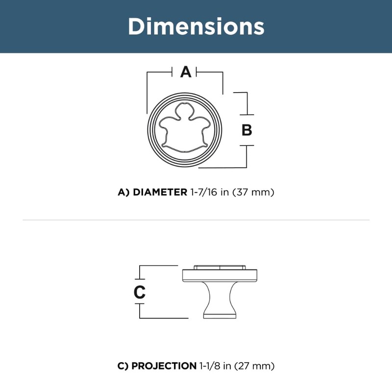 Franklin Brass Seaside Cottage Turtle (5-Pack) Cabinet Knobs Champagne Bronze