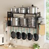 Freexployer 31 Inch Pot Rack Wall Mounted, 2-Tier Pots and