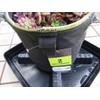 Square Plant Saucer Plastic Plant Trays with Plant Riser Pot