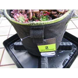 Square Plant Saucer Plastic Plant Trays with Plant Riser Pot Elevator for Indoor Plant pots and Outdoor Potted Plants Planter Tray Water Drainage drip Tray 10-inch by square farmer (5-Pack)