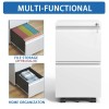 2 Drawer Metal Mobile File Cabinet Fully Assembled Rolling File