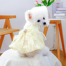 YOASONEK Dog Clothes, Dress, Spring, Summer, Autumn, Pet Skirt, Lace, Dog Wear, Dress, Dog Clothing, Princesses, Cute, Sunburn Prevention, Small Dogs, Medium Dogs, Walks, Going Out (M)