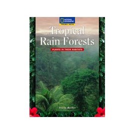 Theme Sets: Rainforest