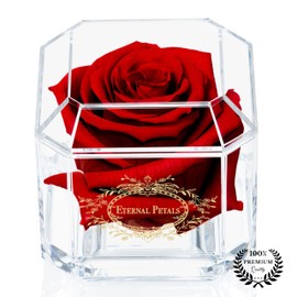 Eternal Petals Solo - A Real Rose That Lasts A Year, Flowers Delivery Next Day Prime UK - Perfect Unique Gift for Women, Men, Birthday Gift (Deep Red)