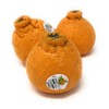 Produce Dekopon Citrus Box, 48 Oz