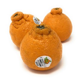 Produce Dekopon Citrus Box, 48 Oz