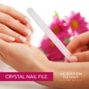 Leighton Denny Hardened Glass Crystal Nail File in Aluminimum Case