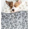 ShigKeu 2 Pcs Dog Blanket Cat Blanket Washable Fleece Blankets