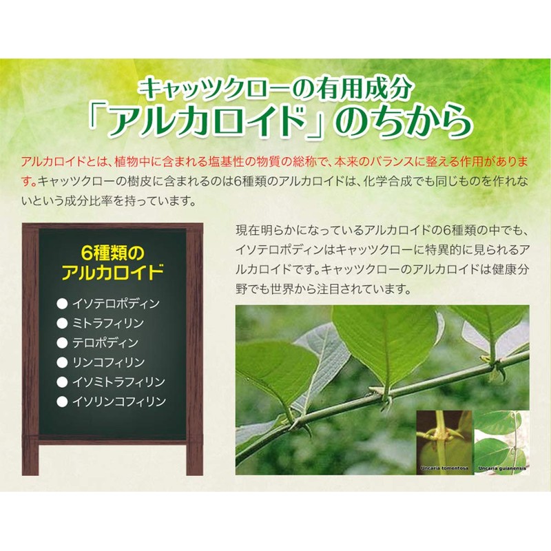 petting Life Theater Rhino kyattukuro- Solid (MSM Blend) Set of