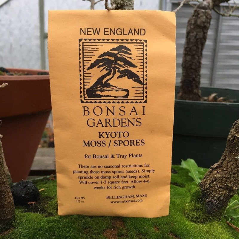 Moss Spores for Bonsai Trees - Covers Up to Three