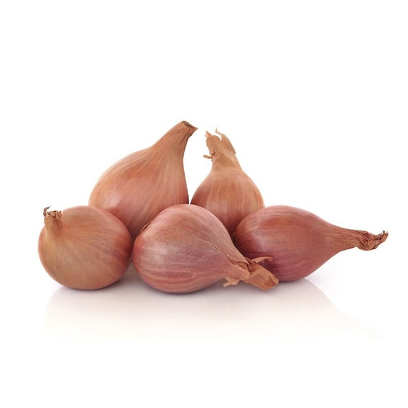 Generic Fresh Shallots, USA Grown, Non-GMO, Allium schoenoprasum (Sweet Onion),
