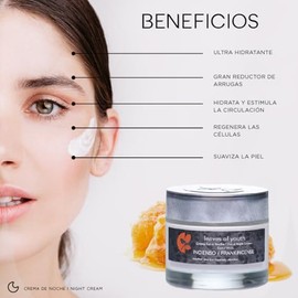Kit Facial Antiarrugas Reafirmante Antimanchas Cremas Hidrantentes Nutritivas Día Noche Ácido Hialurónico Colágeno Jalea Real Aloe Vera Incienso Todo