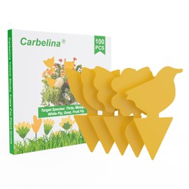 Carbelina Fruit Fly Traps for Indoors Sticky, Gnat Traps for House Indoor Plants, Fungus Gnat Sticky Trap, 100pcs, Non-Toxic, Odorless, Harmless to Vegetables, Fruits, Plants