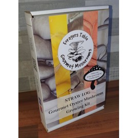 Mushroom Growing Kit, XL Pink, Gold & Blue Oyster, Easy to Use and Fast Growing, Includes Voucher to Claim Living Spawn Separately for Better Yield and Gifting.