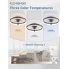 ZMISHIBO Low Profile Ceiling Fans with Lights and Remote, 20