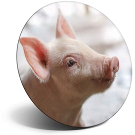 Destination Vinyl ltd Magnet for Refrigerator, Fridge - Cute Pink Piglet Pig Farm Animal for Office, Cabinet and Whiteboard, Magnetic Stickers, 14889