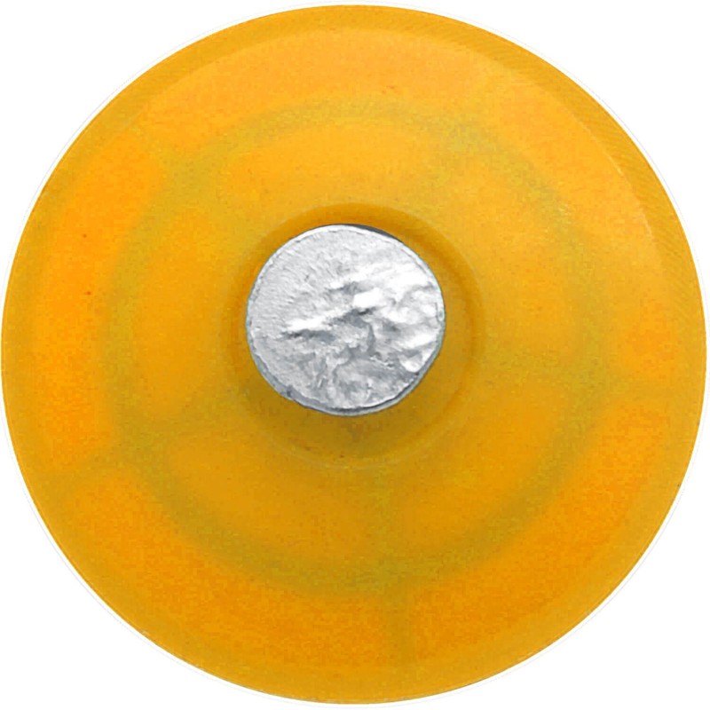 3 Inch Plastic Cap Ring Shank Nail - Small Box