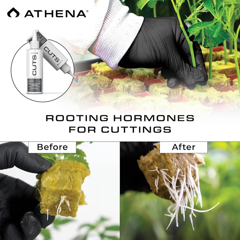 Athena Cuts Rooting Hormone Cloning Gel | Root Growth Hormone