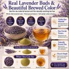 WOTIHA Culinary Grade Lavender Powder (17.6 oz) - 100% Pure