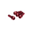 reverse Disc Brake Caliper Bolts, M6x18, 4/Pack - Red