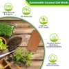 Riare 6pcs Organic Coco Coir Bricks Soil Blocks- 100% Natural
