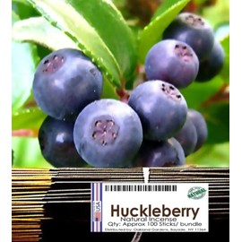 Oakland Gardens Brand, (H) Huckleberry Incense - A Bouquet of Blueberry with Raspberry, Grape, Strawberry and Peach with a Sweet Background (1-Bundle)