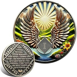 Leafence Recovery and Resilience Commemorative Sobriety Coin Recovery Addiction and Medallions Challenge Coin Narcotics Alcoholics Anonymous (Flying with Wings, 1 Year)