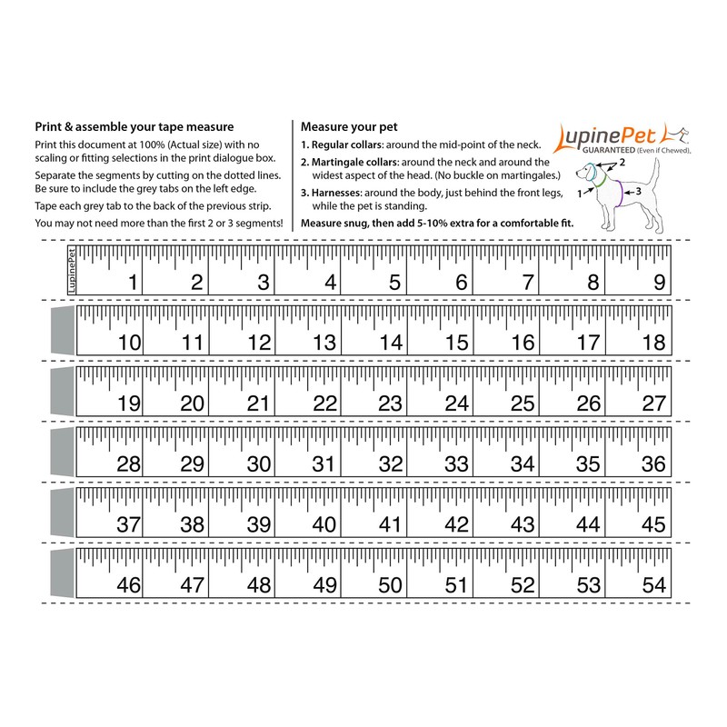 LupinePet Basics 3/4" Purple 15-21" Step In Harness for Small