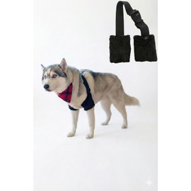 Miller Eclipse Large and XL Dog Reinforced Elbow Pads Elastic Adjustable Hygroma Relief Pressure Sore Cushions Flexible Straps Soft Stretchy Material