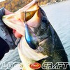 LUCKY CRAFT Fat CB BDS2, Fishing Lure, Crankbait (183 Pearl