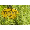 CZ GRAIN 200 Herb Thyme Seeds Organic Heirloom Summer Herbs