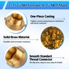 Brass Fire Hose Adapter, 2-1/2" NST Female x 2" NPT