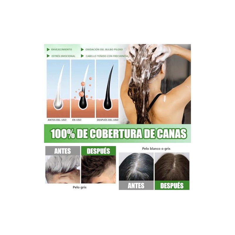 Shampoo para Canas, Hair Dye Shampoo 3 en 1 de